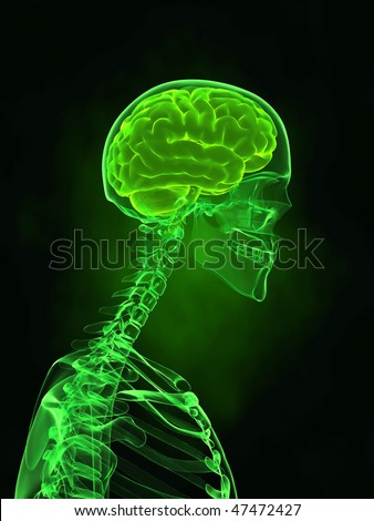 X-ray human skull with brain