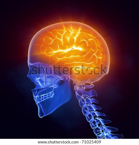 Glowing human brain in x-ray skull - left view\\
\\
*** Also as FOOTAGE available in my portfolio