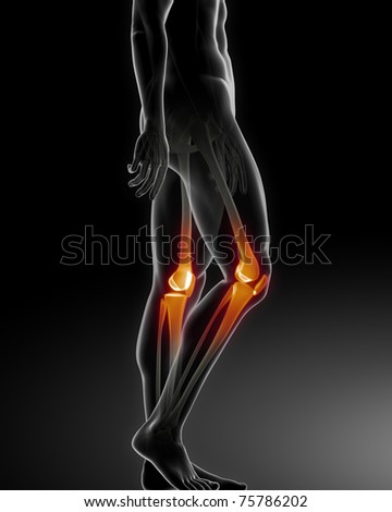 Human Knee Medical Scan