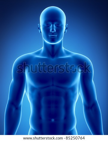 Male Anatomy Stock Photo 85250764 : Shutterstock