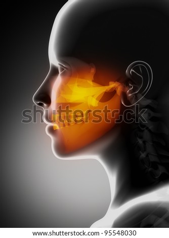 Maxillofacial concept  x-ray jaws