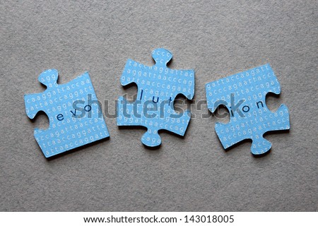 The word Evolution against background of human genome sequence printed on mismatched jigsaw pieces.