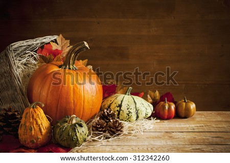 A rustic autumn still life with pumpkins and a basket on a wooden table.