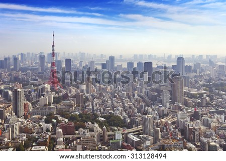 The skyline of Tokyo, Japan with the Tokyo Tower photographed from above.