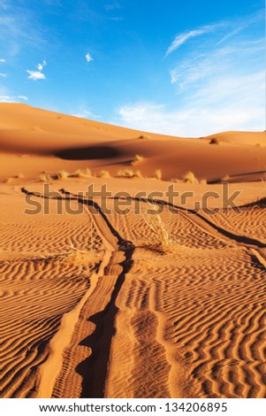 Tire tracks disappear into the sand dunes of the Sahara Desert. Concept for adventure, off track, independence, freedom, lost, gone, trek, off road, fun