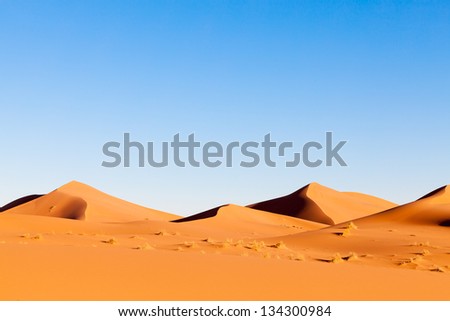 Sahara Desert Landscape With Orange Sand Dunes, Dramatic Shadows And Clear Blue Sky