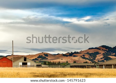 California landscape with rolling golden hills, native oak trees, green vineyards and grazing ranch land.  Location: wine country region of Sonoma and Napa valley.