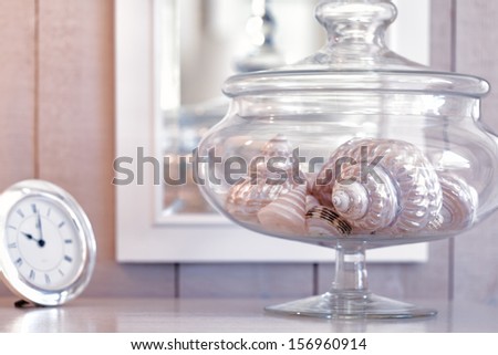 Assortment Of Beautiful Shells In A Glass Jar Reflected In A Mirror In The Background. Pastel Color Theme In Shades Of Pink.