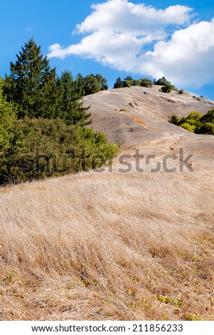 California hills with dry grass. Clouds but no rain. Location: Marin County near San Francisco. Concepts: California, drought, fire danger, climate change, global warming, conservation