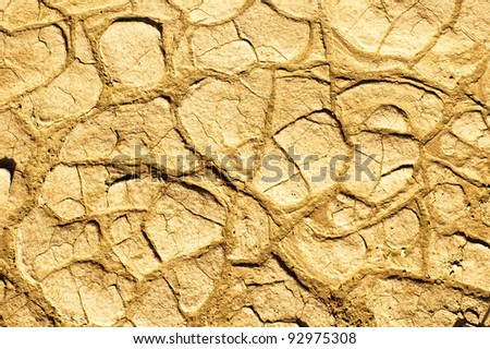 Background of dried cracked earth. Concept for drought, global warming, climate change, water shortage, thirst. Top view, looking down.
