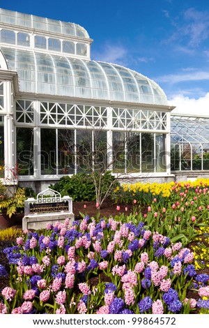 Conservatory of Flowers at Volunteer Park in Seattle, Washington.  Colorful spring flowers in full bloom, including tulips, daffodils and hyacinth