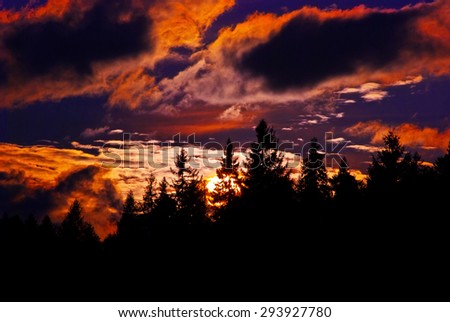 The sun sets on that black pine painted clouds and sky red and purple.