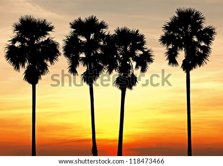 Colorful sky at sunset in tropical country