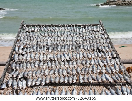 Fish dry in fisherman village, Thailand