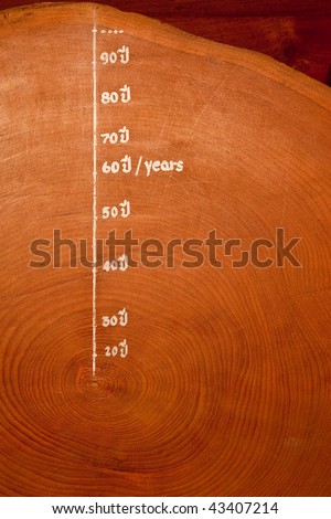 Year circles of old teak wood