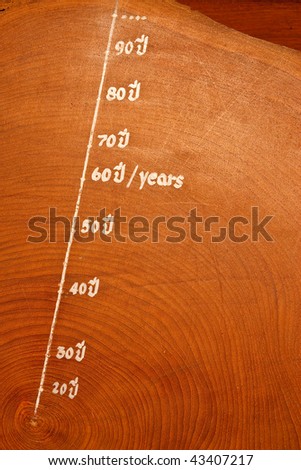 Year circles of old teak wood