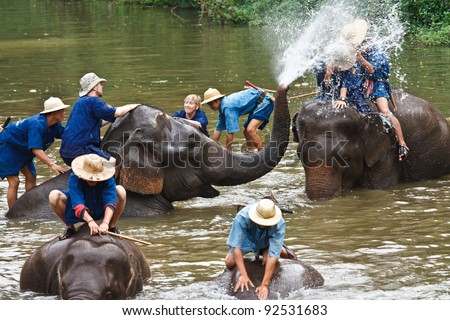 LAMPANG, THAILAND - DEC. 12: Daily elephants bath  at The Thai Elephant Conservation Center (TECC), mahouts bathe and clean the elephants in the the river , December 12, 2011 in Lampang, Thailand.