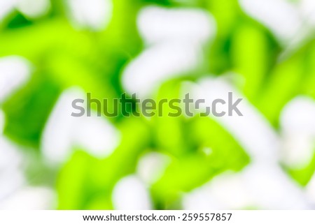 White and green bendy straws. Blurred background.