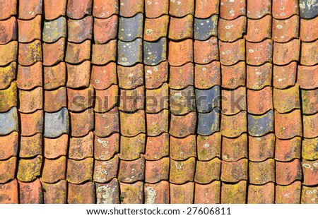 Traditional colorful Dutch roofing tiles