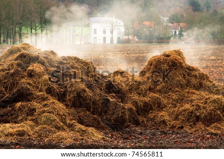 stock-photo-steaming-pile-of-manure-on-farm-field-in-dutch-countryside-74565811.jpg