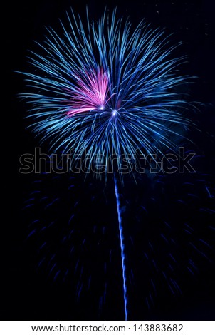 Vibrant colored blue and pink fireworks burst with black sky background
