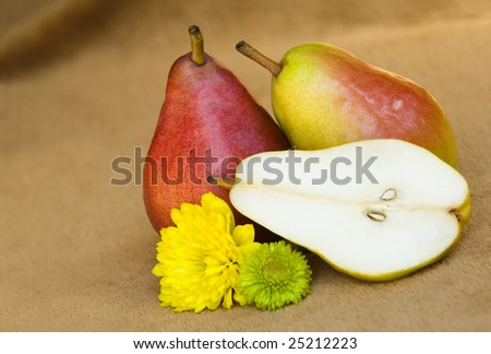 Three pears, two whole, one half with textured tan background, low light with natural colors and tones,  isolated with copy space