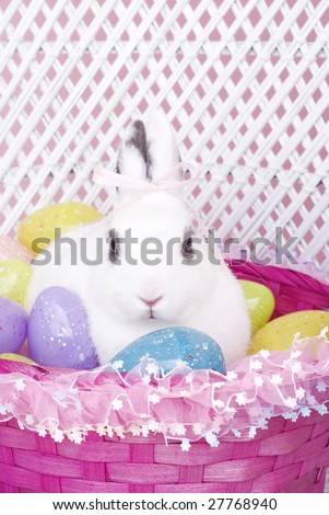 A young white rabbit with pink hair bow, in pink Easter Basket with colored Easter Eggs with copy space