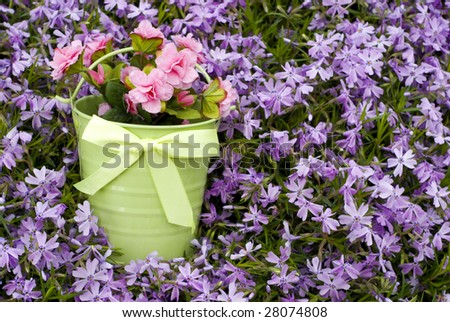 A green bucket of spring flowers on a background of fresh purple Phlox blooms with copy space