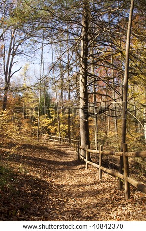 A hiking trail in the park in autumn, path lined with fallen leaves, vertical with selective focus