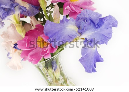 A vase of fresh cut spring flowers, with Iris and Peonies, horizontal white background with copy space