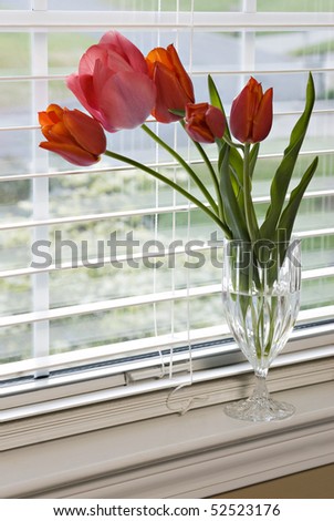 A glass filled with red tulips on a window sill, vertical with selective focus