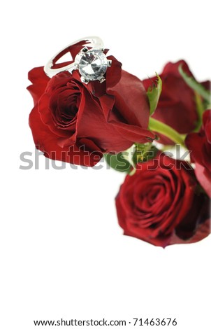 sparkling red rose