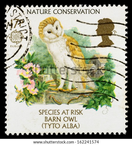 UNITED KINGDOM - CIRCA 1986: Used postage stamp printed in Britain showing Endangered Species the Barn Owl, circa 1986