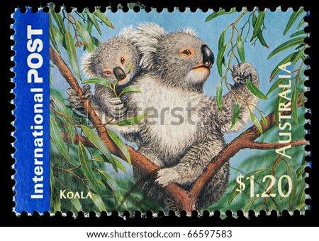AUSTRALIA - CIRCA 2006: An Australian Used Postage Stamp showing Koala Bear, circa 2006