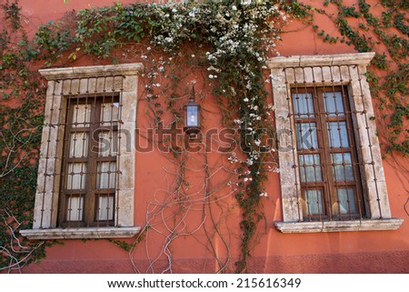 rustic Spanish adobe exterior with vine on the wall