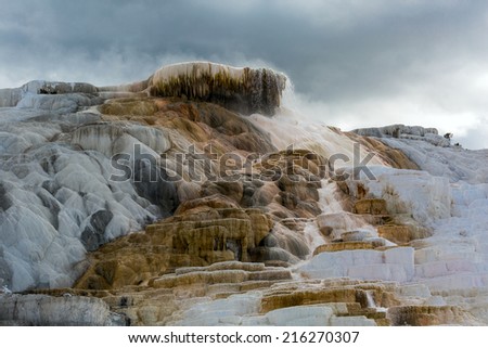 post-volcanic activity at Mammoth Hot Springs in Yellowstone National Park