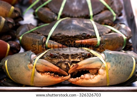 Fresh sea crab ready to sale in the market, Selective focus on eyes of crab