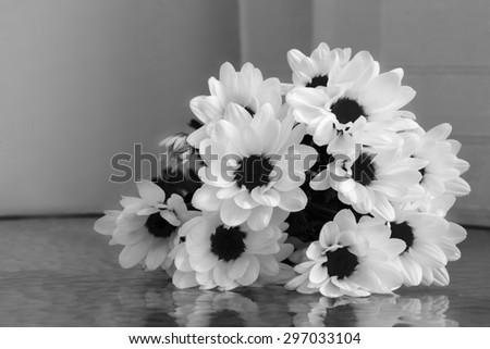 Black and white flowers, bouquet of chamomiles on the table