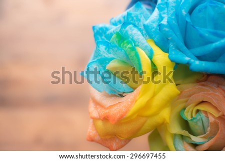 pastel rose with soft focus and blur background.Macro of rainbow rose heart flower and multi colored petals soft focus.