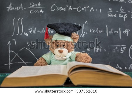 Teddy bear graduate reads a book.back to school.education concept. graduation background.