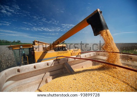 corn harvest on farmland in brazil