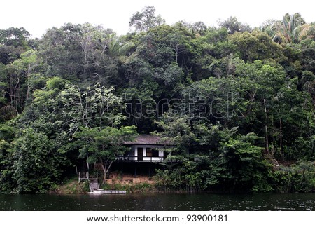 isolated house in rain forest and amazon river