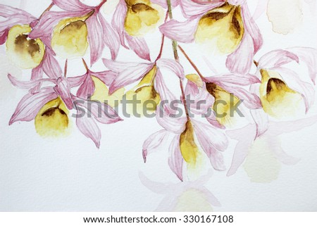 hand drawing and painting pink orchid backgrounds, watercolor painting flowers