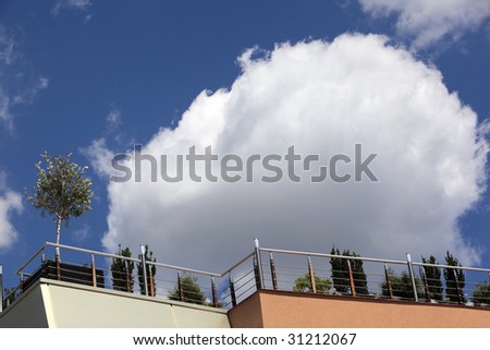 Young tree on the roof of a business building in horizontal composition