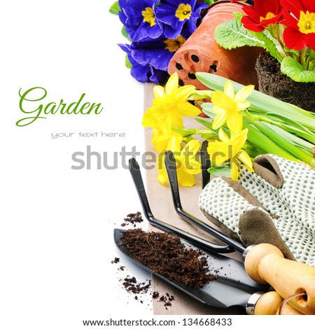 Garden tools and colorful flowers isolated over white