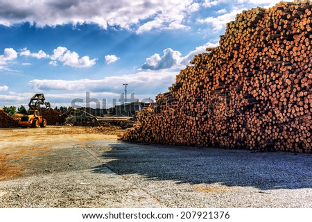 Timber stacked at lumber mill