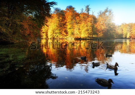 Beautiful autumn landscape with forest lake