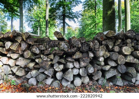 Log pile in the forest