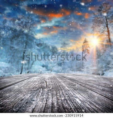Winter landscape with snow covered forest at sunset