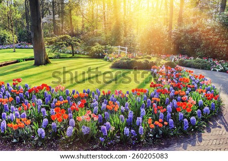 Spring landscape with colorful flowers